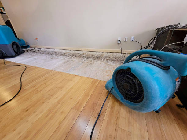 Professional Structural Drying technician working in Santa Ana, CA